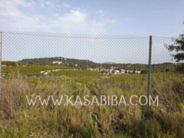 Terreno en Colonia Muela los Mangas