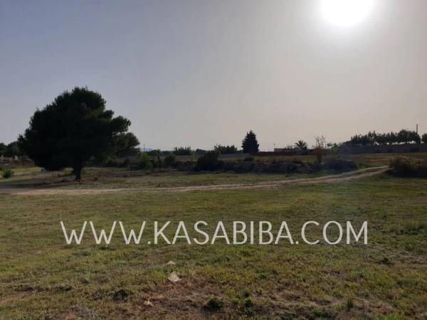 Terreno en Colonia Muela los Mangas