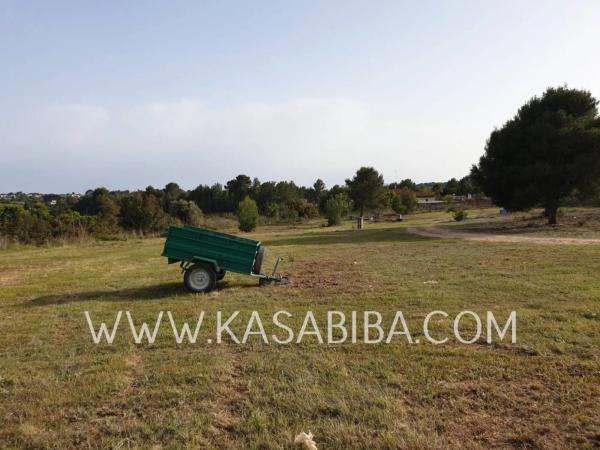 Terreno en Colonia Muela los Mangas
