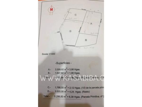 Terreno en Colonia Muela los Mangas