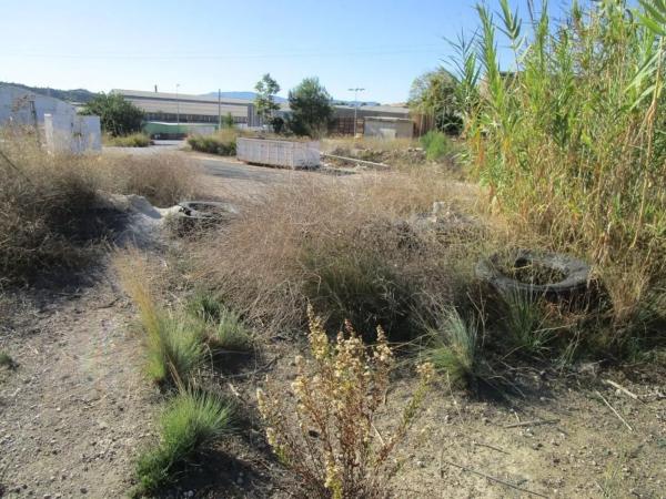 Terreno en camino Número 8, 7