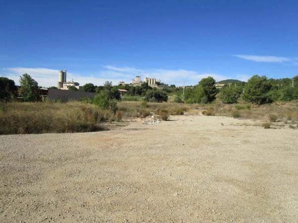 Terreno en camino Número 8, 7