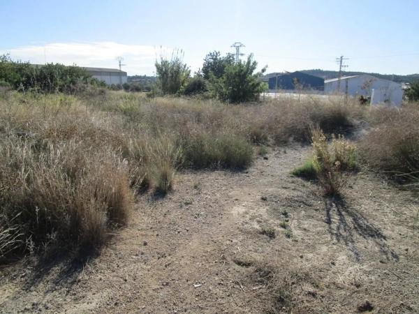 Terreno en camino Número 8, 7