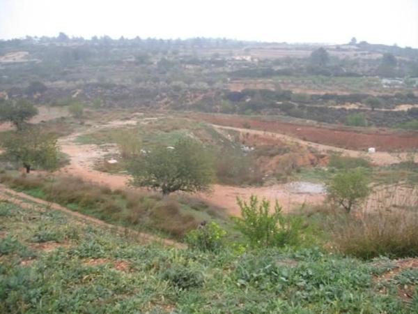 Terreno en plaza Numero 39