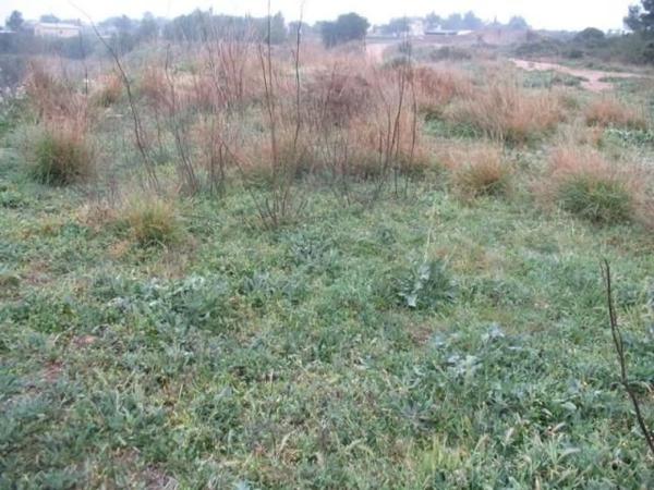 Terreno en plaza Numero 39