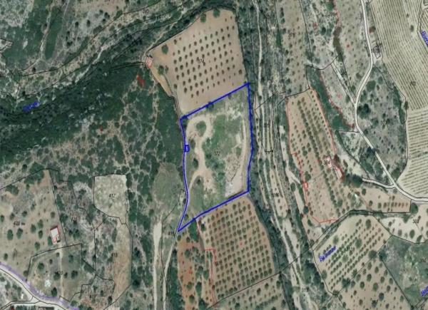 Terreno en plaza Numero 39