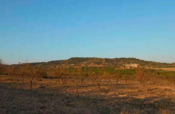 Terreno en Lugar Partida De La Cava Honda s/n