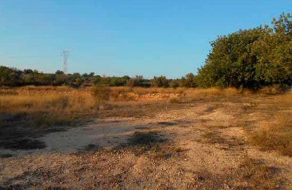 Terreno en Lugar Partida De La Cava Honda s/n