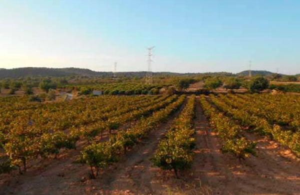 Terreno en Lugar Partida De La Cava Honda s/n