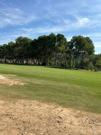 Terreno en Urbanizacion Bosque U12, 372