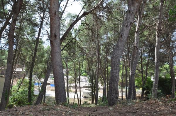 Terreno en Urbanización El Bosque. Calle 2 s/n