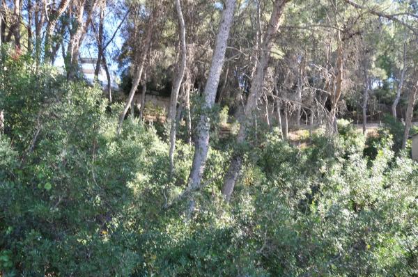 Terreno en Urbanización El Bosque. Calle 2 s/n