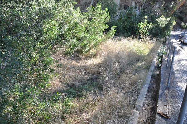 Terreno en Urbanización El Bosque. Calle 2 s/n