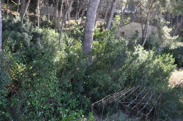 Terreno en Urbanización El Bosque. Calle 2 s/n