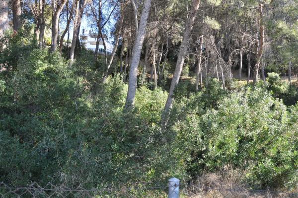 Terreno en Urbanización El Bosque. Calle 2 s/n