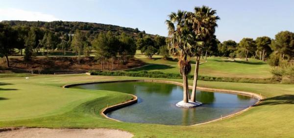 Terreno en Urbanizacion Bosque U12, 372