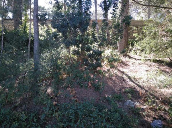 Terreno en Godelleta