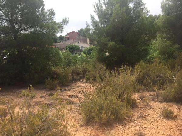 Terreno en Diseminado p 19, 634