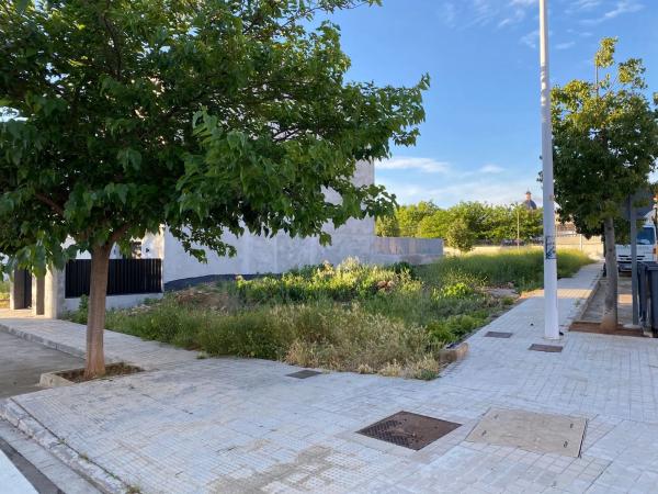 Terreno en calle Rosalía de Castro, 2 RosaliadeCastro