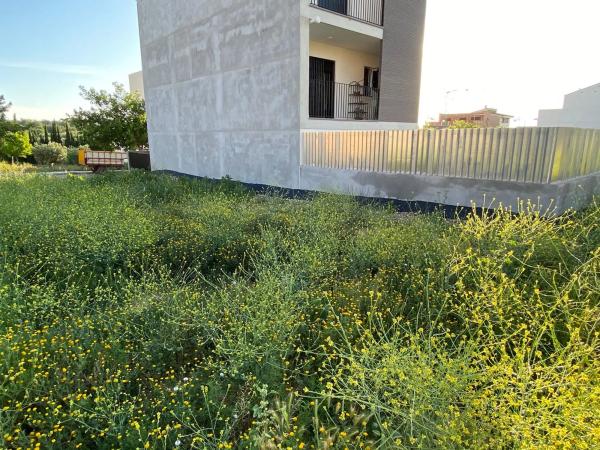 Terreno en calle Rosalía de Castro, 2 RosaliadeCastro