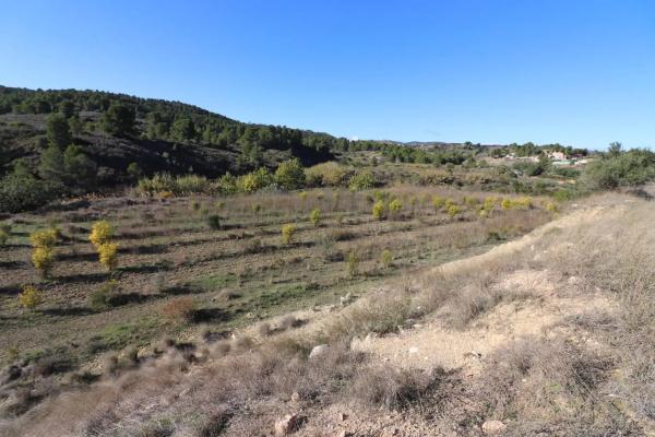 Terreno en Alborache