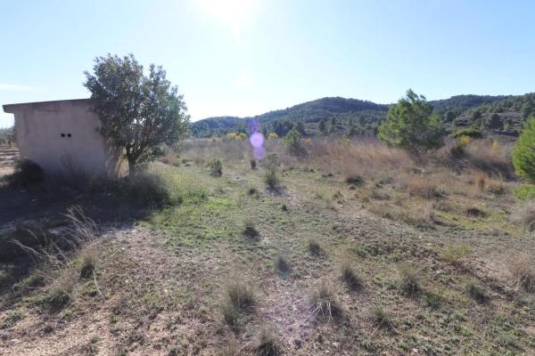 Terreno en Alborache