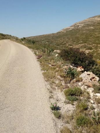 Terreno en Polígono 19 y 20, 19 Polgonoy
