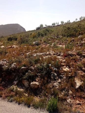 Terreno en Polígono 19 y 20, 19 Polgonoy