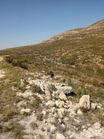Terreno en Polígono 19 y 20, 19 Polgonoy