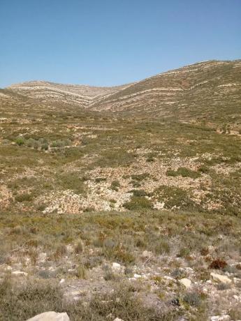 Terreno en Polígono 19 y 20, 19 Polgonoy