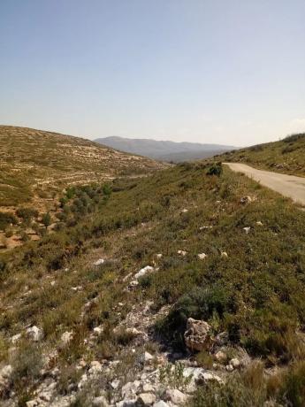 Terreno en Polígono 19 y 20, 19 Polgonoy