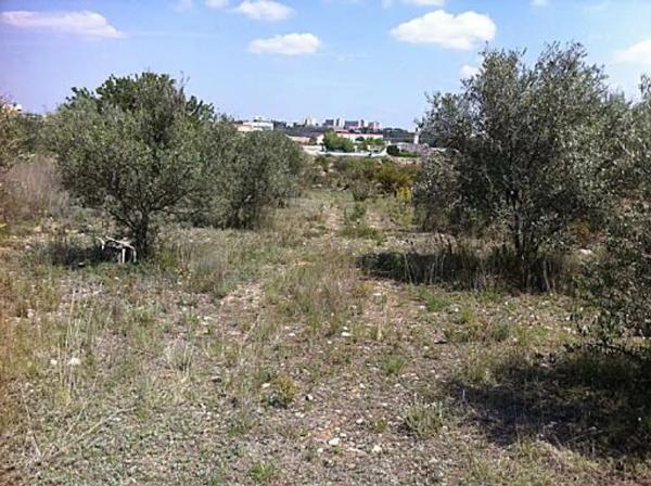 Terreno en Partida del ¨Ribet¨ s/n sn