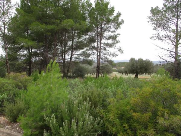 Terreno en Urbanització Llanorel 11
