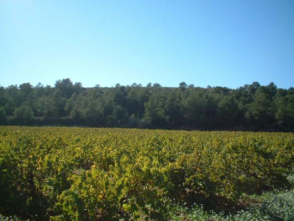 Terreno en via del Este, 1