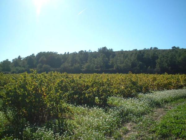 Terreno en via del Este, 1