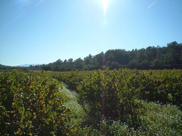 Terreno en via del Este, 1