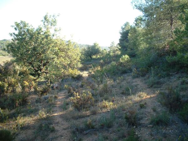 Terreno en via del Este, 1