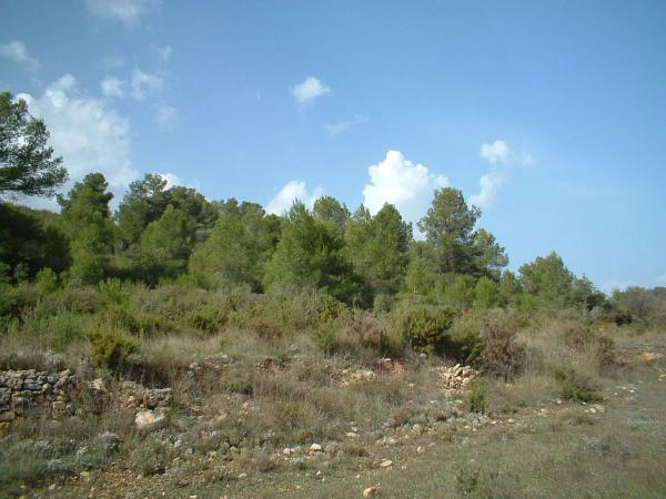 Terreno en via del Este, 1