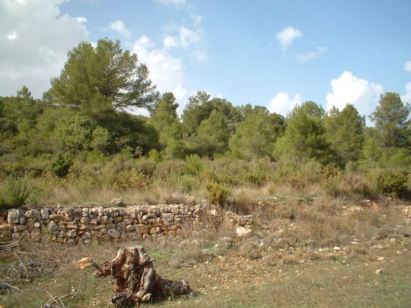 Terreno en via del Este, 1