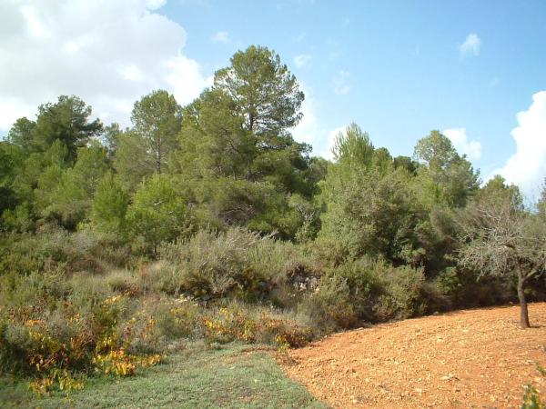 Terreno en via del Este, 1