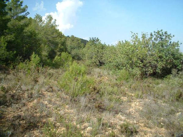 Terreno en via del Este, 1