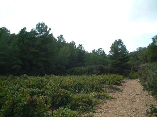 Terreno en via del Este, 1