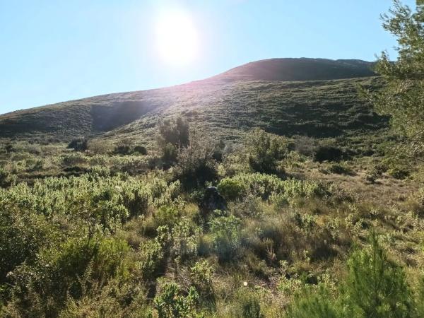 Terreno en Urbanització Llanorel 11