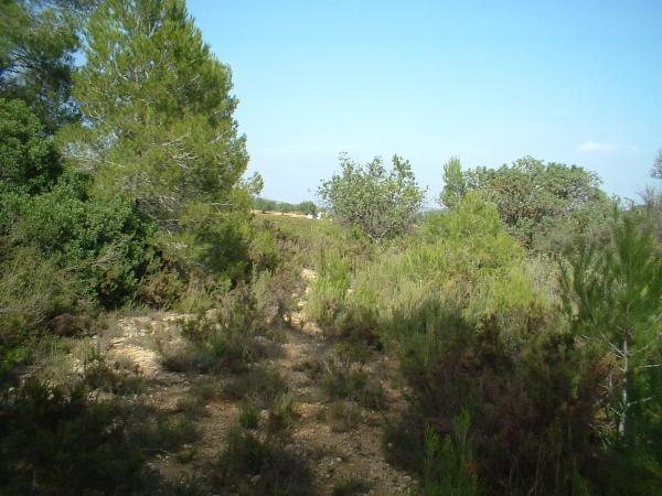Terreno en via del Este, 1
