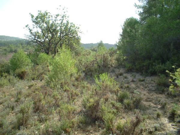 Terreno en via del Este, 1