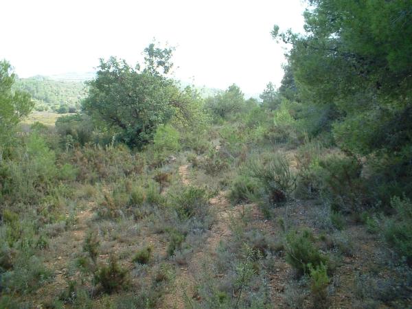 Terreno en via del Este, 1