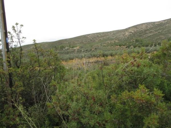 Terreno en Urbanització Llanorel 11