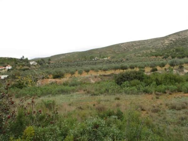 Terreno en Urbanització Llanorel 11