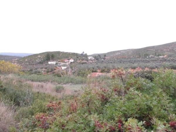 Terreno en Urbanització Llanorel 11