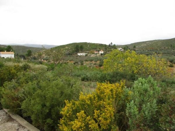 Terreno en Urbanització Llanorel 11